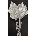 Palm Spear Silver 4-5" (8)